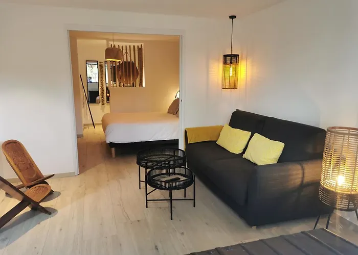 Апартаменты Casa Louise And Spas Privatifs *